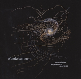 Image du média "WUNDERKAMMERN de Rhodri DAVIES/LEE PATTERSON/DAVID TOOP"