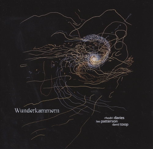 Couverture WUNDERKAMMERN de Rhodri DAVIES/LEE PATTERSON/DAVID TOOP