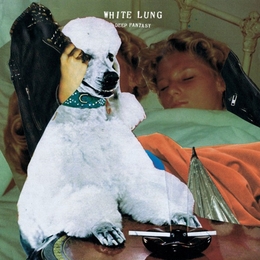 Image du média "DEEP FANTASY de WHITE LUNG"