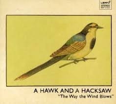 Image du média "THE WAY THE WIND BLOWS de A HAWK AND A HACKSAW"