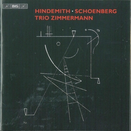 Image du média "TRIO CORDES 1,2  (+ SCHOENBERG) de Paul HINDEMITH"