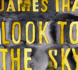 Image du média "LOOK TO THE SKY de James IHA"