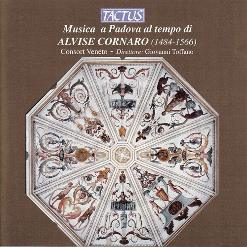 Couverture MUSICA A PADOVA AL TEMPO DI ALVISE CORNARO (1484-1566)