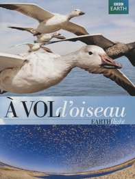 Image du média "À VOL D'OISEAU de John DOWNER"