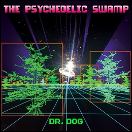 Image du média "PSYCHEDELIC SWAMP de DR. DOG"