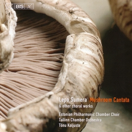 Image du média "MUSHROOM CANTATA / CONCERTO PER VOCI E STRUMENTI / THOUGH YO de Lepo Androvitch SUMERA"