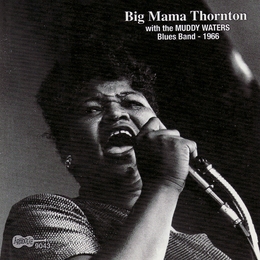 Image du média "WITH THE MUDDY WATERS BLUES BAND, 1966 de Big Mama THORNTON"