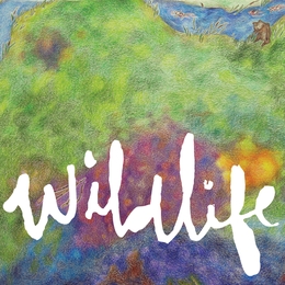 Image du média "WILDLIFE de HEADLIGHTS"