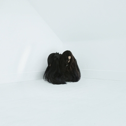 Image du média "HISS SPUN de Chelsea WOLFE"