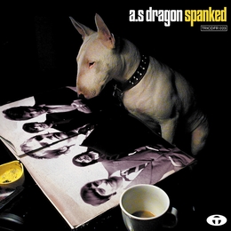 Image du média "SPANKED de A.S DRAGON"