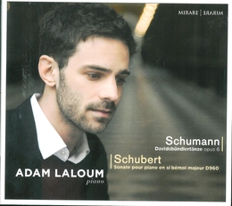 Image du média "DAVIDSBÜNDLERTÄNZE (+ SCHUBERT) de Robert SCHUMANN"