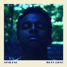 Image du média "MEAN LOVE de SINKANE"