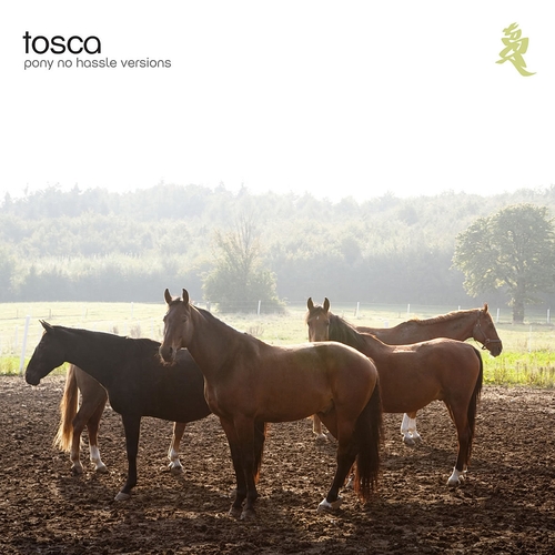 Couverture PONY NO HASSLE VERSIONS de TOSCA