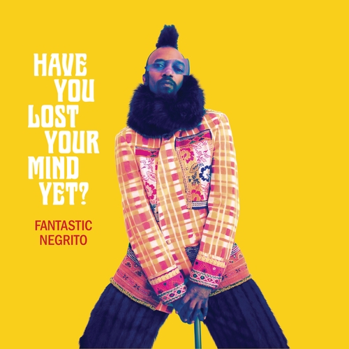 Couverture HAVE YOU LOST YOUR MIND YET? de FANTASTIC NEGRITO