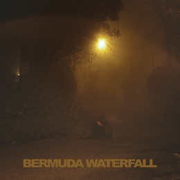 Image du média "BERMUDA WATERFALL de Sean Nicholas SAVAGE"