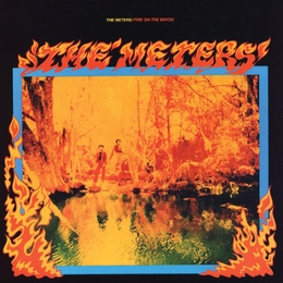 Image du média "FIRE ON THE BAYOU de THE METERS"