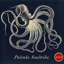 Image du média "MAR de PALENKE SOULTRIBE"