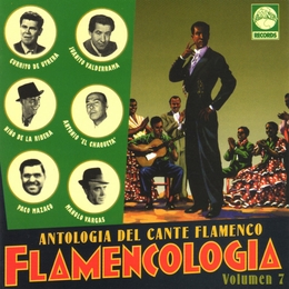 Image du média "ANTOLOGIA DEL CANTE FLAMENCO: FLAMENCOLOGIA VOLUMEN 7"