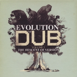 Image du média "EVOLUTION OF DUB (VOLUME 3 - THE DESCENT OF VERSION) de THE REVOLUTIONARIES"