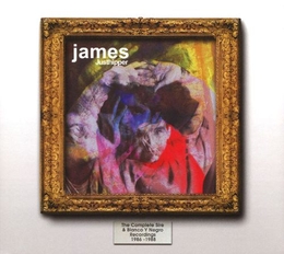 Image du média "JUSTHIPPER (THE COMPLETE SIRE & BLANCO Y NEGRO RECORDINGS) de JAMES"