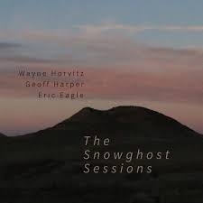 Image du média "SNOWGHOST de Wayne HORVITZ"