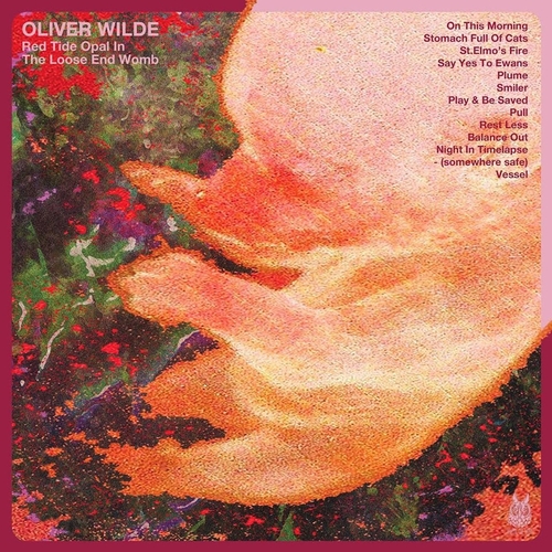 Couverture RED TIDE OPAL IN THE LOOSE END WOMB de Oliver WILDE