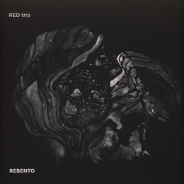 Image du média "REBENTO de RED TRIO"