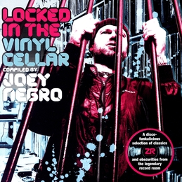 Image du média "LOCKED IN THE VINYL CELLAR de Joey NEGRO"