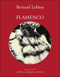 Image du média "FLAMENCO de Bernard LEBLON"