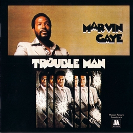 Image du média "TROUBLE MAN - 40TH ANNIVERSARY EXPANDED EDITION de Marvin GAYE"