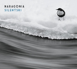 Image du média "SILENTSKI de NARAGONIA"