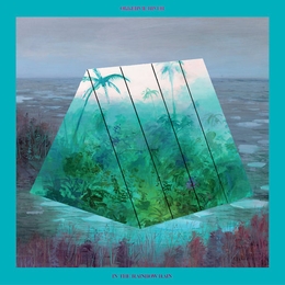 Image du média "IN THE RAINBOW RAIN de OKKERVIL RIVER"