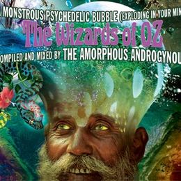 Image du média "A MONSTROUS PSYCHEDELIC BUBBLE - THE WIZARDS OF OZ de THE AMORPHOUS ANDROGYNOUS"