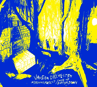 Couverture MORNING FOREST AKA NOSE UP BOTTOM DOWN de VANSINA ORCHESTRA