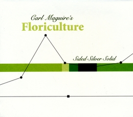 Image du média "SIDED SILVER SOLID de Carl MAGUIRE'S FLORICULTURE"