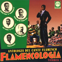 Image du média "ANTOLOGIA DEL CANTE FLAMENCO: FLAMENCOLOGIA VOLUMEN 3"