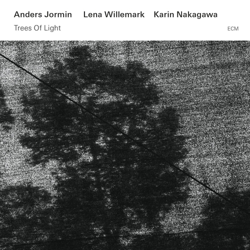 Couverture TREES OF LIGHT de Anders JORMIN