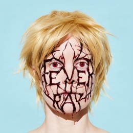 Image du média "PLUNGE de FEVER RAY"