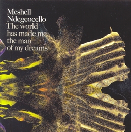 Image du média "THE WORLD HAS MADE ME THE MAN OF MY DREAMS de Meshell NDEGEOCELLO"