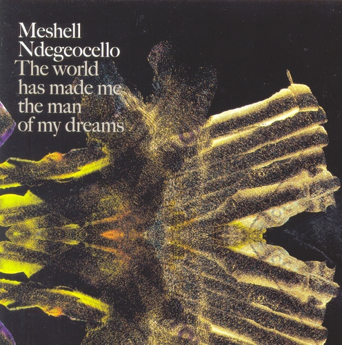 Couverture THE WORLD HAS MADE ME THE MAN OF MY DREAMS de Meshell NDEGEOCELLO