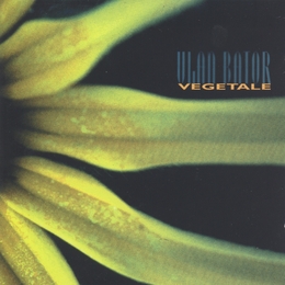 Image du média "VEGETALE de ULAN BATOR (FRA)"