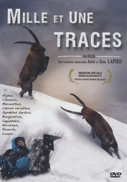 Image du média "MILLE ET UNE TRACES de Anne LAPIED"