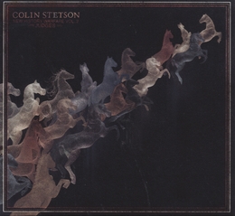 Image du média "NEW HISTORY WARFARE, VOL.2: JUDGES de Colin STETSON"