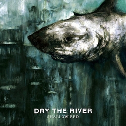 Image du média "SHALLOW BED de DRY THE RIVER"