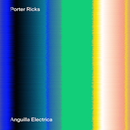 Image du média "ANGUILLA ELECTRICA de PORTER RICKS"