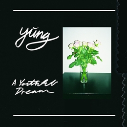 Image du média "A YOUTHFUL DREAM de YUNG"