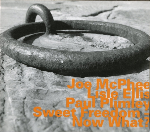 Couverture SWEET FREEDOM - NOW WHAT? de Joe McPHEE/LISLE ELLIS/PAUL PLIMLEY