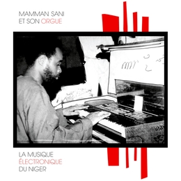 Image du média "LA MUSIQUE ÉLECTRONIQUE DU NIGER de Mamman SANI"