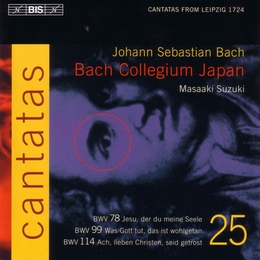 Image du média "CANTATE:  78,99,114 (VOL.25) de Johann Sebastian BACH"