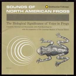 Image du média "SOUNDS OF NORTH AMERICAN FROGS"